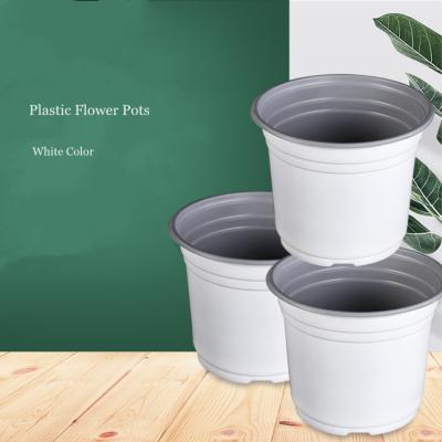 China Realistic white nursery pot pp plant supplier garden plastic flower pots wholesale for sale