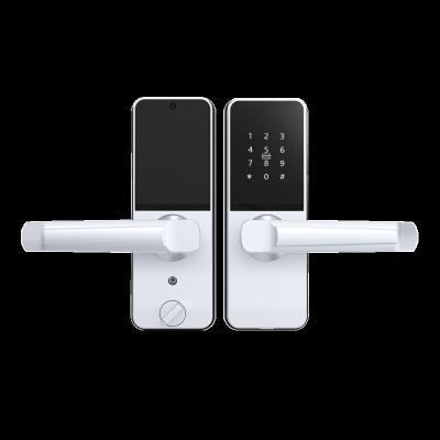 China New Style Keypad Touch Door Security Security Door Hotel Apartments Wifi Digital Home Lock Smart Home Electric Lock for sale