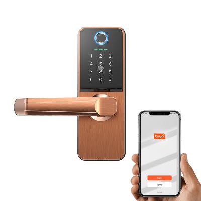 China Replaceable Electronic Key 4pcs AA Silver Steel Battery Replaceable Smart Lock Fingerprint Card Modules Bronze Color for sale