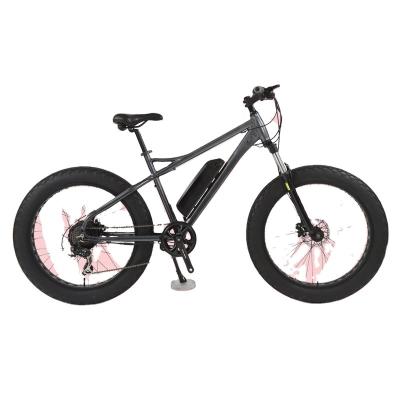 China New 21 Speed ​​Aluminum Alloy Electric Bike 5000W Hub Motor With 36V/10Ah Power Battery For Adult Mountain Bike E-Bike for sale