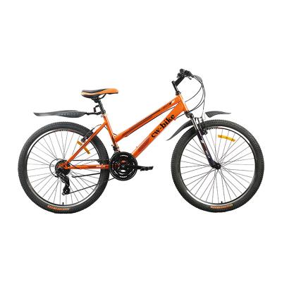 China Various Steel Factory Sale Hardtail Widely Used Hot Sale Retro Mountain Bike for sale