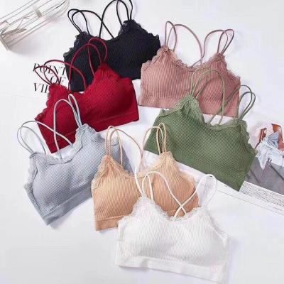 China New Design Sports Antibacterial Hot Selling Seamless Bra For Girls Women Brassires For Cambodia Egypt Thailand Pakistan Vietnam Market for sale