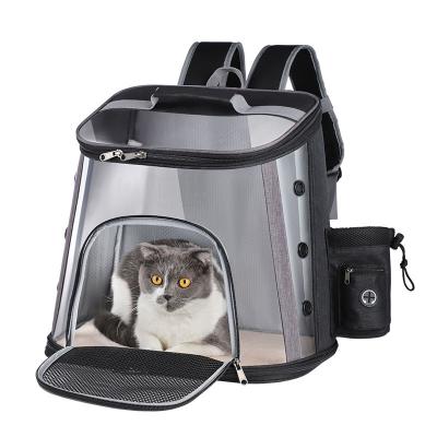 China Viable Other Small Portable Detachable Airline Approved Pet Carrier Dog Cat Travel Cage Products for sale