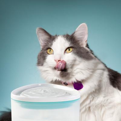 China Dropshipping 2L Pet Water Fountain Automatic Automatic Dog Cat Drinking Water Feeder with LED Light Dispenser Amazon BPA Free Water Bottle for sale