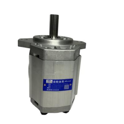 China Duurzame tandwielpomp CBQ-F550-AF13L A462-601300-000 Voor CPC40-50 bij machineshops Te koop