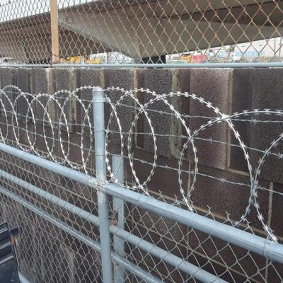 China Building Protective Supply High Quality Galvanized Blade Barbed Wire To Increase Security for sale