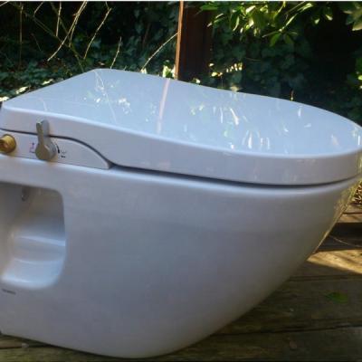 China Slow-end Luxury Mechanical Toilet Seats NZMAN Freshwater Bidet Attachment A5 for sale