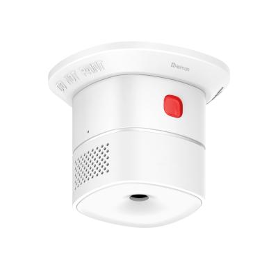 China 2019 Wholesale Newest Smart Home Alarm Carbon Monoxide Detection CO Detector HS1CA for sale