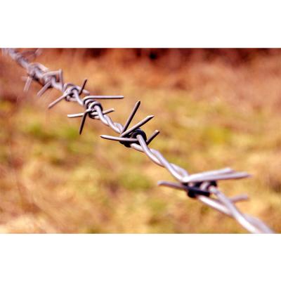 China Resist Bad Conditions Hot Dipped Galvanized Concertina Razor Barbed Wire Low Price Razor Wire for sale