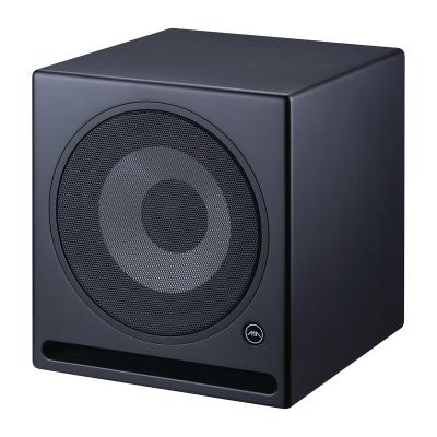 China Factory Wholesale 225W Single Active High End ARA10 Subwoofer Audio Speaker With 10