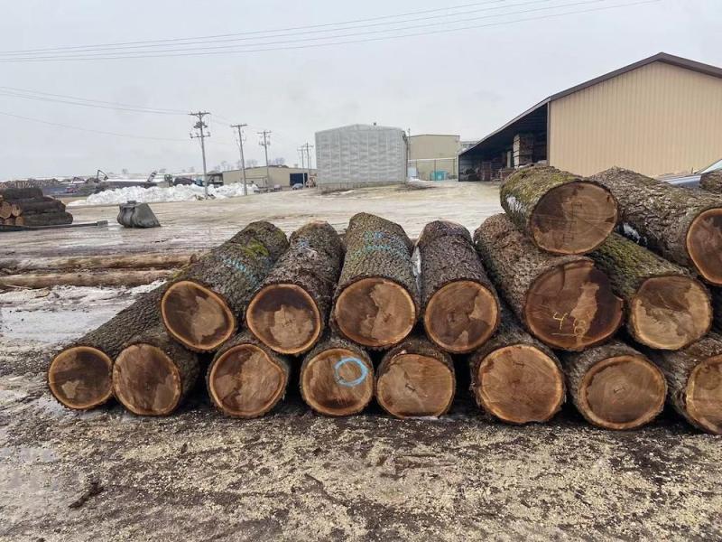 Geverifieerde leverancier in China: - Dongguan Yinghui Wood Industry Co., Ltd.