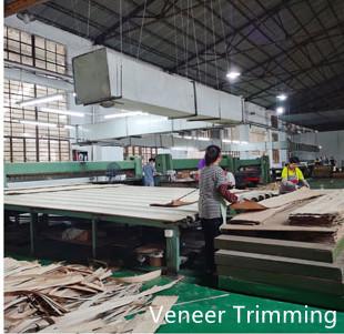 Geverifieerde leverancier in China: - Dongguan Yinghui Wood Industry Co., Ltd.