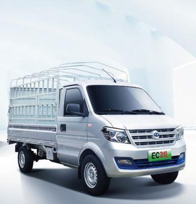 China Made In China Ruichi EC31L Pure Electric Vans Van Cargo Truck For Sale 4905*1660*2205 New Energy Extra Long Vehicles for sale