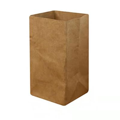 China Eco-Friendly Morden Grow Bag Light Paper Plant Bag Washable Garden Kraft Paper To Grow Bag for sale