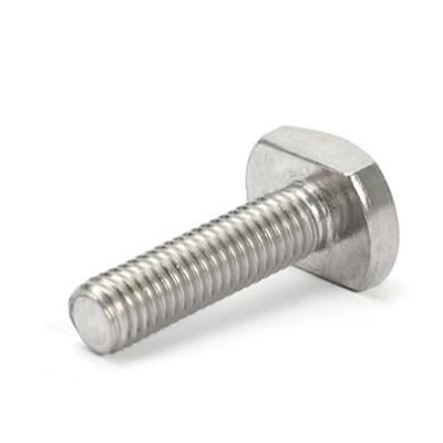 China Customization stainless steel stainless steel bolt and nut GB37 M5 M6 M8 M10 M12 T-bolt screw fasteners for sale