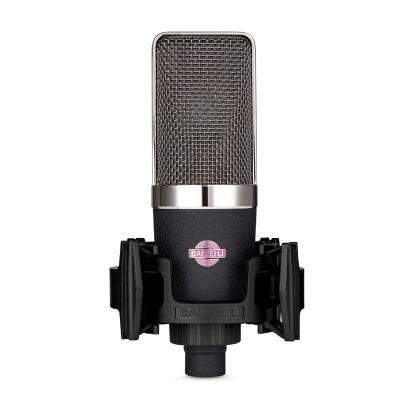 China BAIFEILI B450 Professional New Design Economical Microphone Condenser With Big Price Microphone Condenser Professional for sale