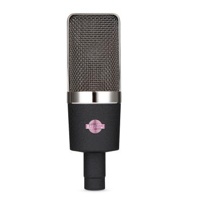 China BAIFEILI B450 Professional New Design Economical Microphone Condenser With Big Price Microphone Condenser Professional for sale