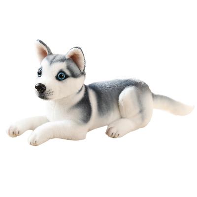 China China Manufacturer Top Quality Real Simulation Plush Huskie Huskie Dogs Plush Toys for sale