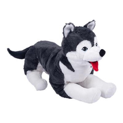 Κίνα Plush OEM Stuffed Toy Plush Husky Dog προς πώληση