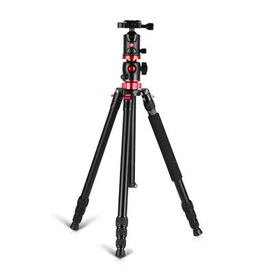 China New Lightweight Professional ZOMEI M8 Digital Camera Camera Tripod for Dslr Camera and Mobile Photography Tripod for sale