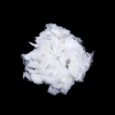 China 100% wool 24mic 30mm washed sheep hair wool 100% carded sheep wool for sale