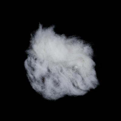 China Hot Sale 100% Wool 21.5mic Wool Sheep Hair Carded 100% Sheep Wool for sale