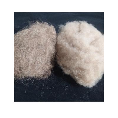 China Fire Retardant Natural Camel Wool Bleached Camel Fiber Waste Depilated Camel Hair for sale