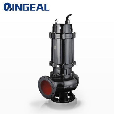 China Wastewater Treatment 22kw Sewage Pump Sewage Pump Submersible Coupling Sewage Pump Sludge Non Clogging Vertical Sewage Pump for sale