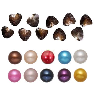 China Pearl 2021 New DIY Round Oyster 6-8mm 25 Mix Color Natural Loose Freshwater Pearl Gift DIY Decorations Vacuum Packing Wholesale for sale