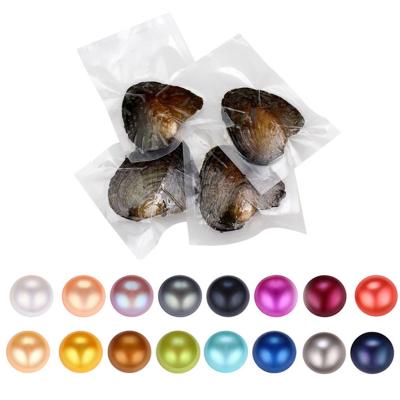 China Wholesale High Quality Cheap DIY Love Akoya Shell Pearl Oyster 6-7mm Red Gray Light Blue Pearl Oyster With Vacuum Packing for sale