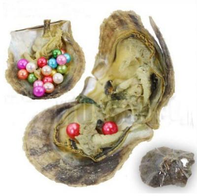 China DIY Akoya 2021 6-7mm 27 Colors Seawater Around Twins Pearl Oyster For DIY Making Necklace Earrings Jewelry Gift for sale