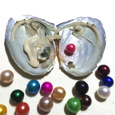 China DIY New Edison Pearl Oyster 9-12mm Round 16 Natural Loose Mix Color Pearl DIY Gift Decorations Vacuum Packing for sale