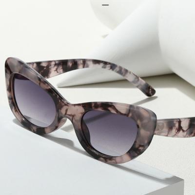 China Men Sunglasses 2022 Women Sexy Cute UV400 Cat Eye Sun Glasses New Fashion Ladies Vintage Brand Design Sunglasses Small for sale