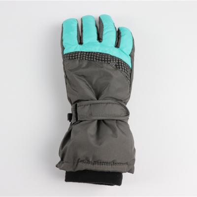 China Men 2021 Hot Selling Cheap Ski Winter Waterproof Windproof Skiing Products For Hands for sale