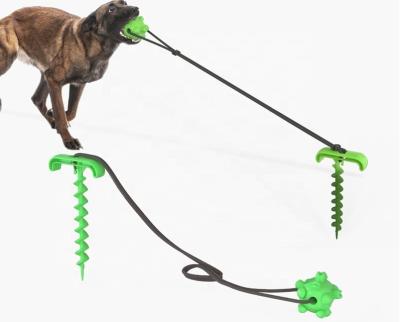 China Multi Function Dog Viable Training Supplies Outdoor Portable Fixed Stack With Elasticity Rope Molar Dog Toy for sale