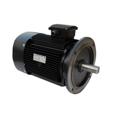 China Totally inclusive manufacturers wholesale 220v 380v 400v YE3 high efficiency three phase induction motors for sale