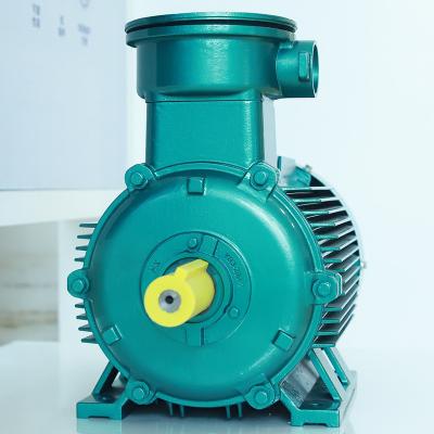 China Customization High Reliability IE3 0.75kW-250kW Electric Explosion Proof Asynchronous Motor for sale