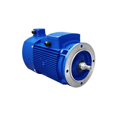 China YVP Series 50-100HZ Energy Saving Low Temperature Rise Fully Enclosed Inverter Motor YVP80M1-2 for sale