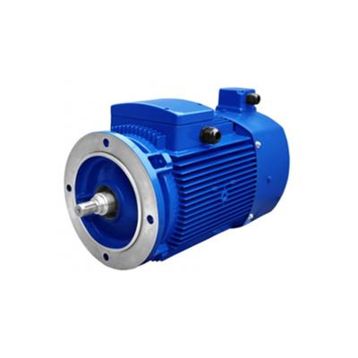 China 0.55kW-315kW Variable Inverter Motor Industrial AC Electric Motor With Variable Speed ​​YVP80M1-2 for sale