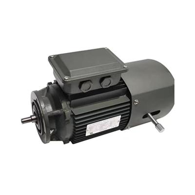 China Factory Customized 400V F Class Insulated 415V 220 - 440V 220-440 380-420V Three Phase Asynchronous Electric Motors For Speed ​​Reducers for sale