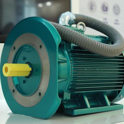 China Machinery Equipment Low Noise IE4 Low Vibration AC Induction 380v Electric Motor For Air Compressors for sale