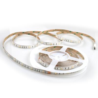 China Project 2022 Portable Cost Effective Installation Remote Control RGB LED Smart Strip Light for sale