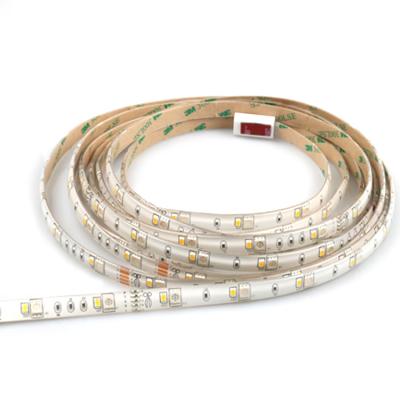 China With well-known microphone APP control at home and abroad and remote control color changing smart LED strip lights for sale