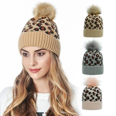 China Winter Fashion Acrylic Leopard Print Knit Hat Autumn Winter Woolen Ball Warm Soft Knitted for sale