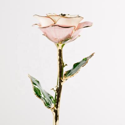 China Real Rose Gold 2020 Factory Wholesale Eternal Fresh Preserved Dipped And Trimmed 24K Upgraded Real Roses Rose Flower for sale