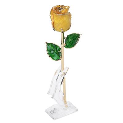 China Real Rose High Quality Gold Trimmed Rose Preserved Beautiful Handmade Flower Gifts For Woman for sale