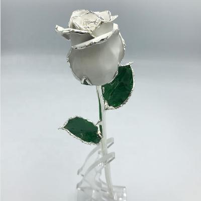 China Real Rose Silver Trimmed Gifts Real Roses Beautiful Romantic Flower Decoration Hot Selling for sale