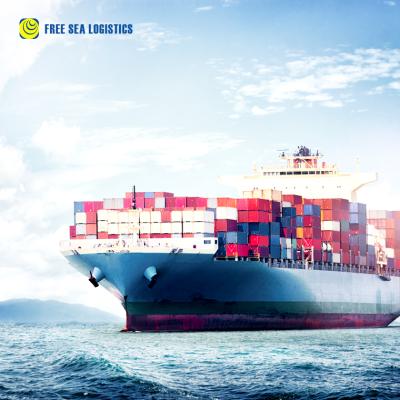 China Reliable and Professional Freight Shipping Forwarder From China To Saudi Arabia Oman DDU DDP Door To Door Free Sea Service for sale