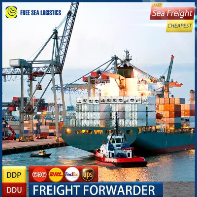 China 20ft 40ft Container Sea Freight Shipping Agent In Guangzhou FCL LCL Service From China To USA All Types for sale