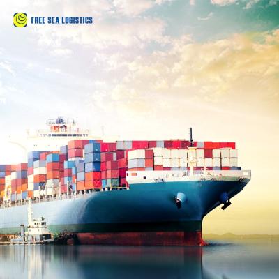 China Free Ship Ningbo Shenzhen Guangzhou Door To Door Sea And Air Freight Forwarder Agent To Philippines Malaysia Thailand Sea Freight / Sea Door To Door for sale